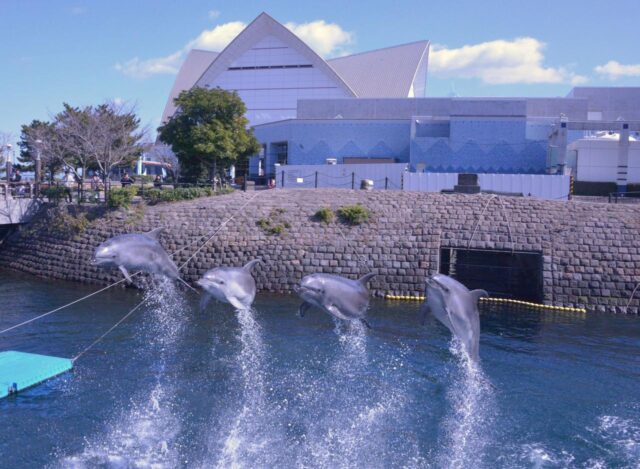 いおワールドかごしま水族館